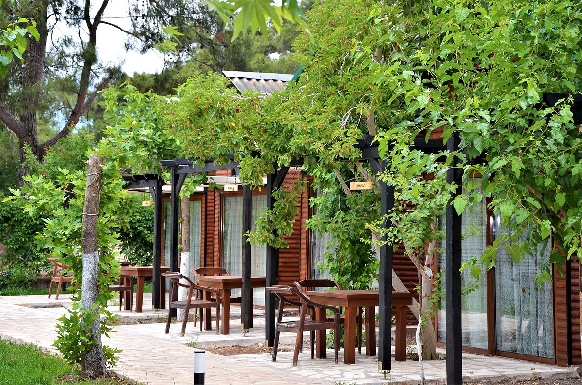 Dublex Bungalow: yeşillikler içinde dış cephe ve teras