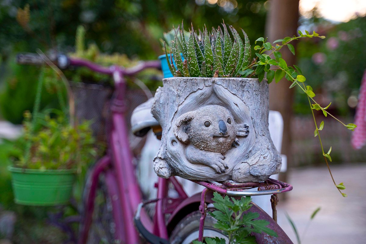 Bahçede bisiklet üzerinde koala figürlü saksı dekoru