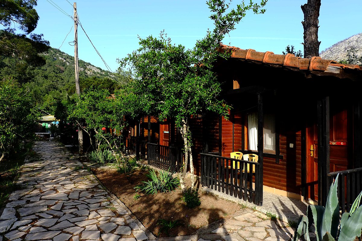 Taş patika boyunca sıralanan ahşap bungalovlar ve bahçe